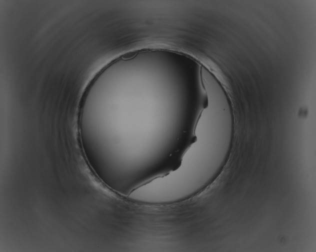 X0000091370904200708311523