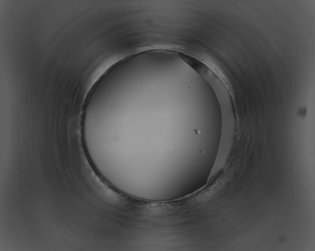 X0000091370906200708311523