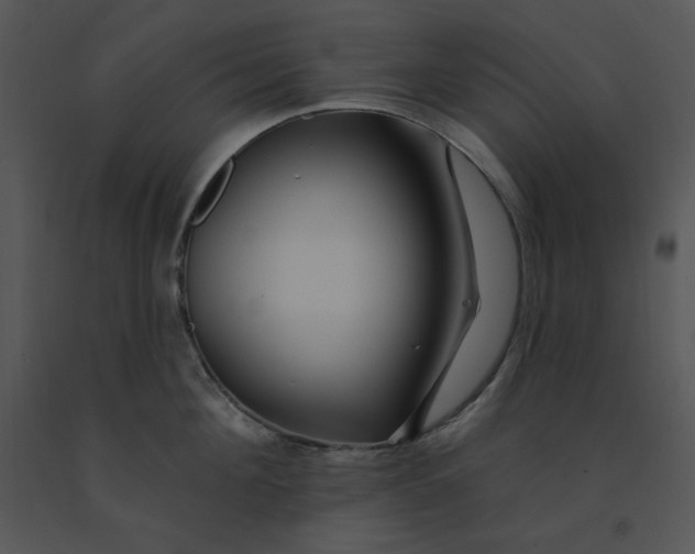 X0000091370908200708311523