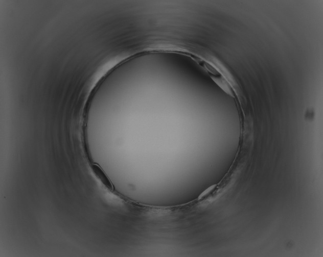 X0000091370909200708311523