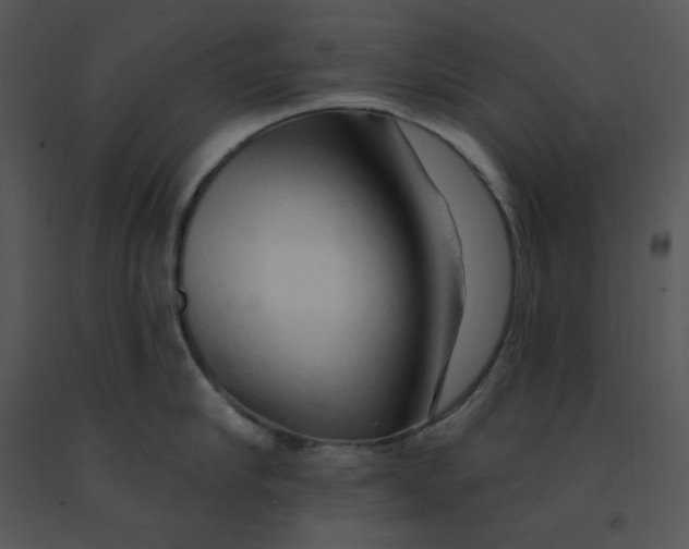 X0000091370910200708311523