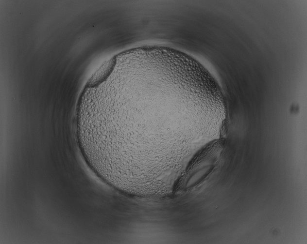 X0000091370911200708311523