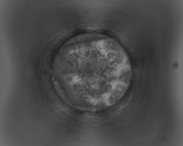 X0000091370913200708311522