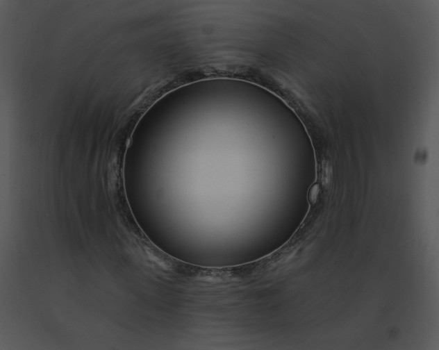 X0000091370915200708311522