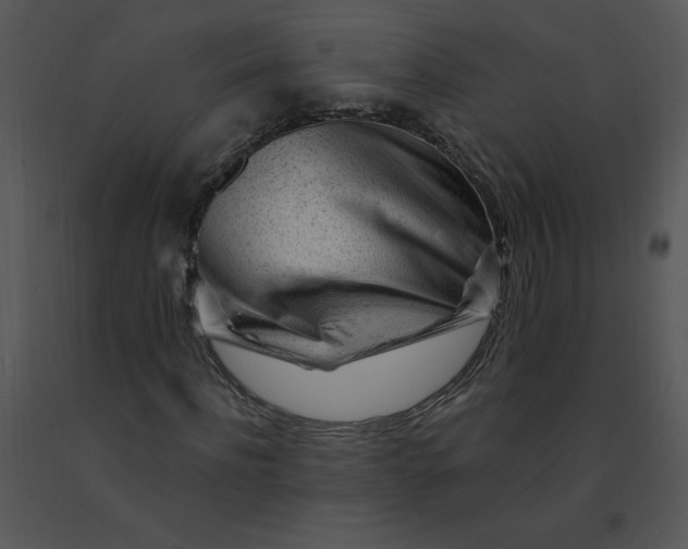 X0000091370916200708311522