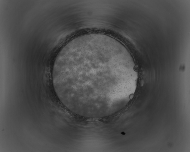 X0000091370918200708311522