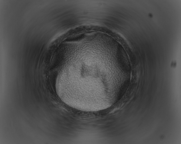 X0000091370919200708311522