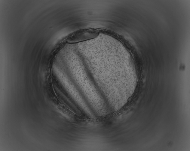 X0000091370920200708311522