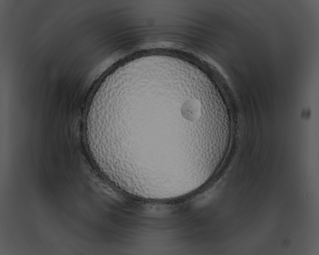 X0000091370921200708311522