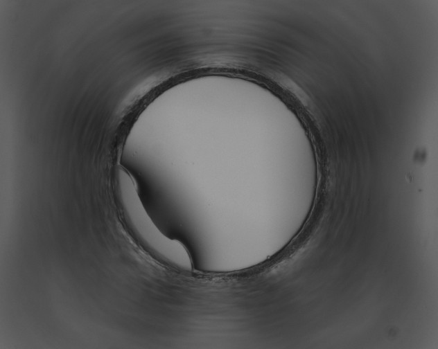 X0000091370922200708311522