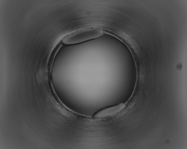 X0000091370924200708311522