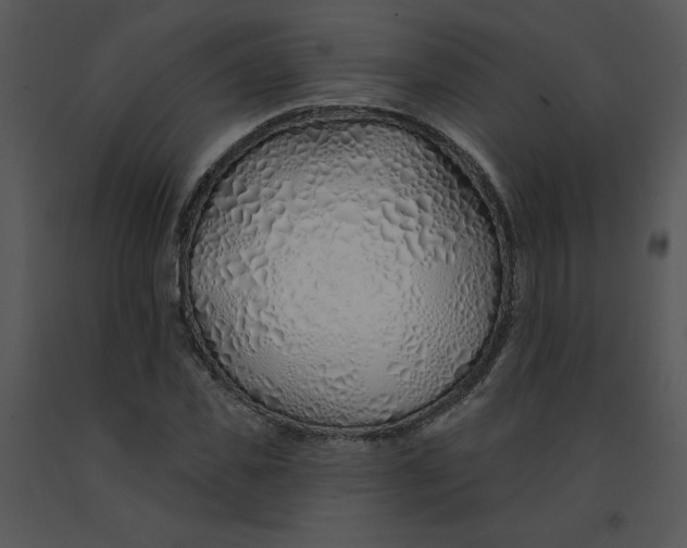 X0000091370925200708311522