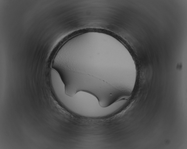 X0000091370926200708311522