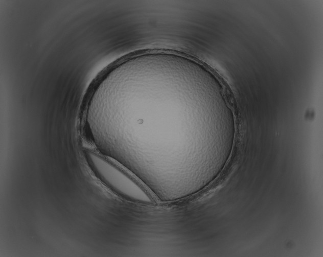 X0000091370928200708311522