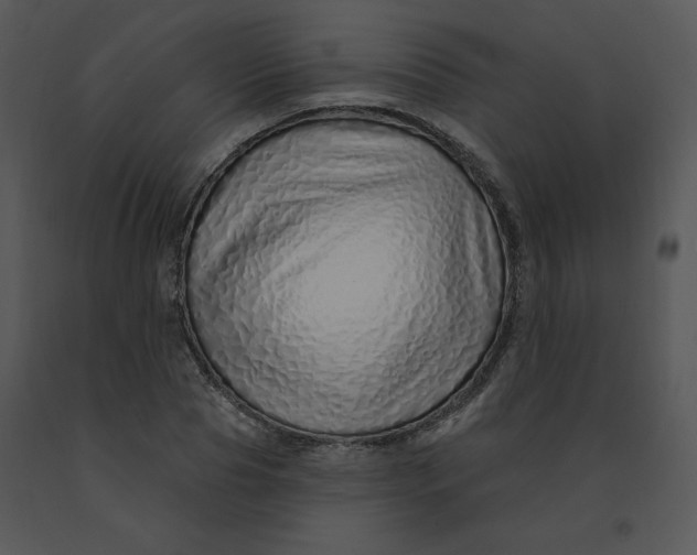 X0000091370929200708311522