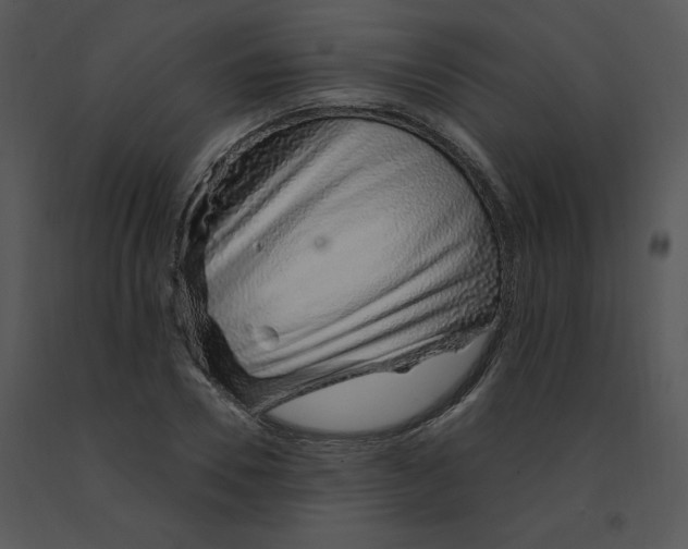 X0000091370930200708311522