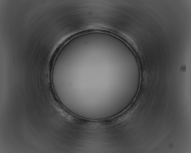 X0000091370931200708311522