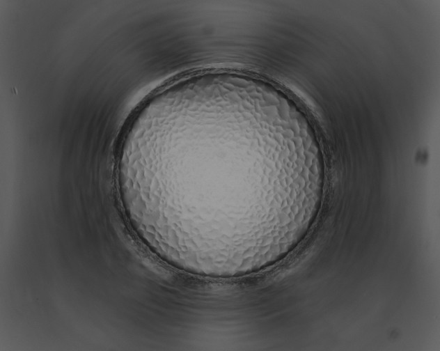 X0000091370933200708311522