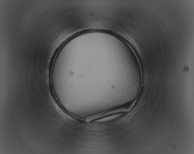 X0000091370935200708311522