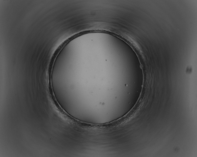 X0000091370936200708311522