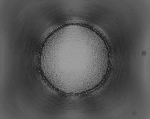 X0000091370937200708311522