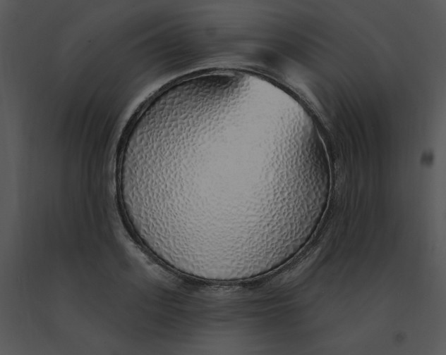 X0000091370939200708311522