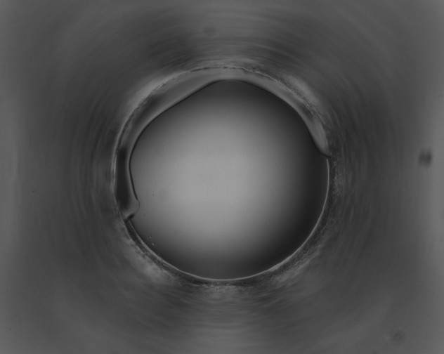 X0000091370940200708311522