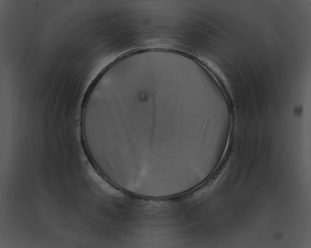 X0000091370941200708311522