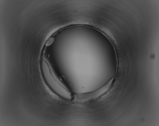 X0000091370942200708311522