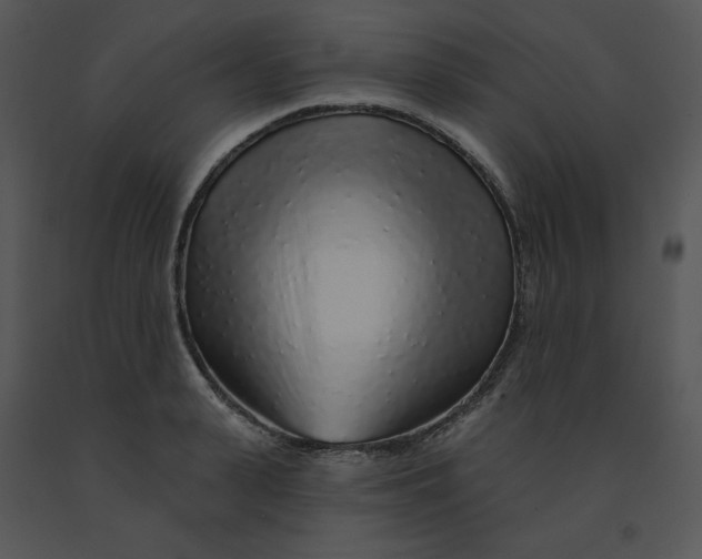 X0000091370943200708311522