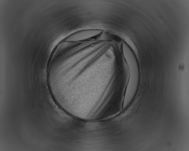 X0000091370944200708311522