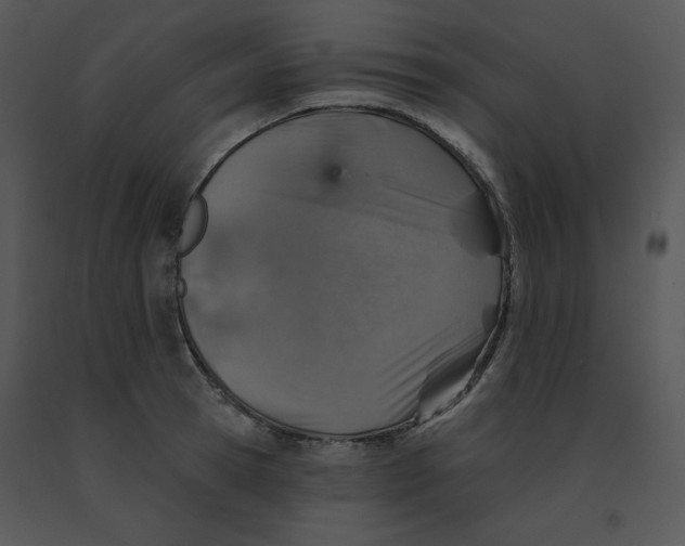 X0000091370945200708311522