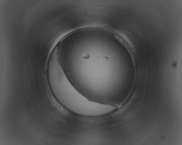 X0000091370948200708311523