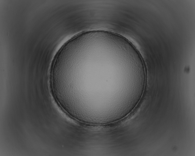 X0000091370949200708311523