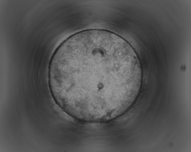 X0000091370950200708311523