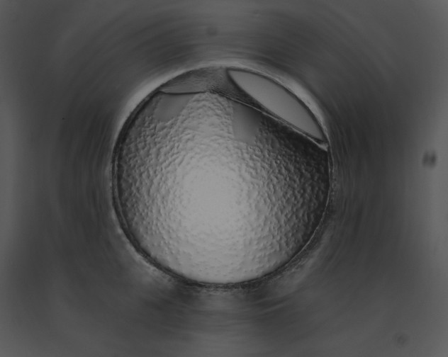 X0000091370951200708311523