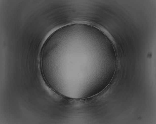 X0000091370955200708311523