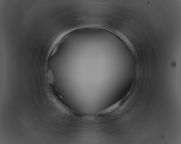 X0000091370956200708311523