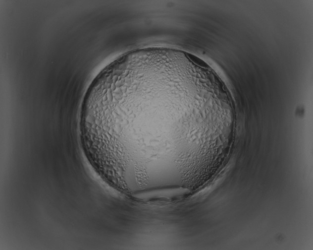 X0000091370957200708311523