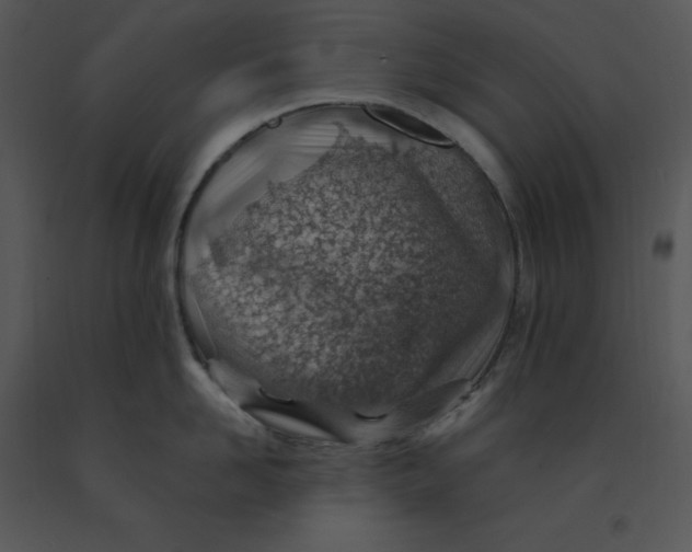 X0000091370958200708311523