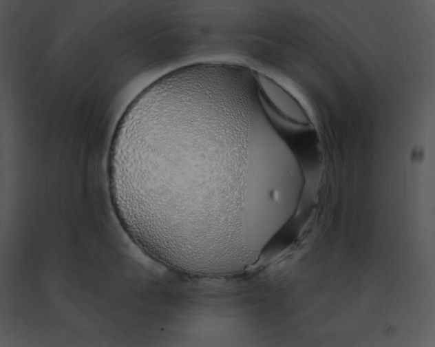 X0000091370959200708311523