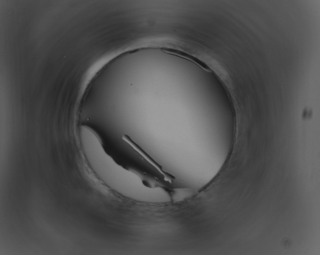 X0000091370960200708311523