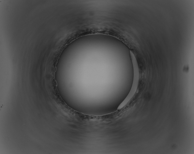 X0000091370961200708311522