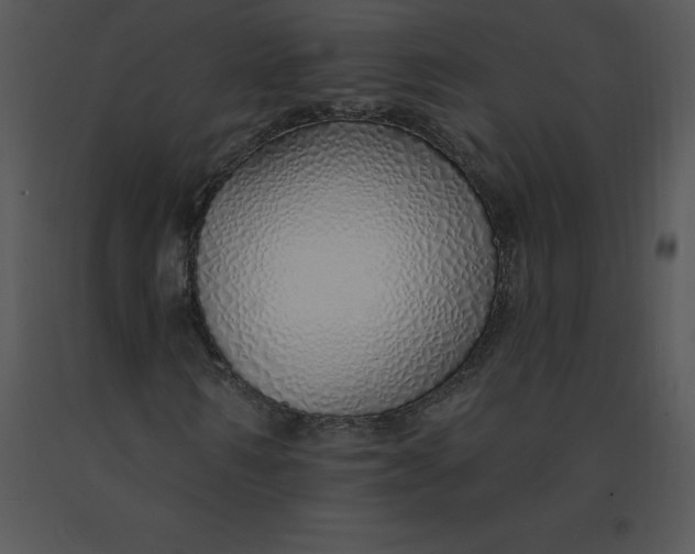 X0000091370962200708311522