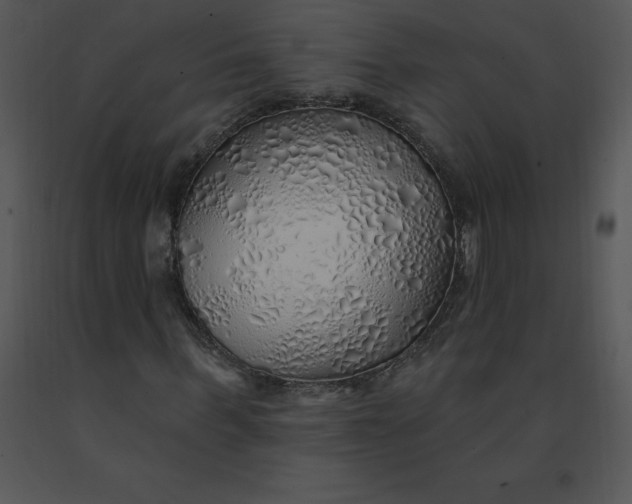 X0000091370963200708311522