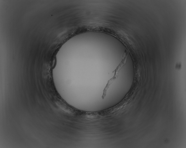 X0000091370964200708311522