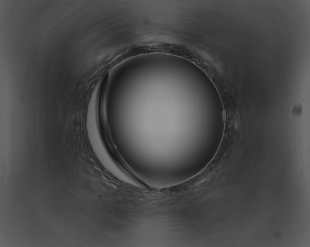 X0000091370965200708311522