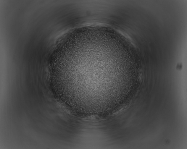 X0000091370966200708311522