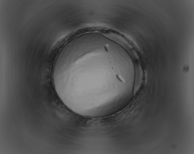 X0000091370967200708311522