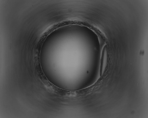 X0000091370968200708311522